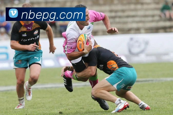 多媒体互动体验